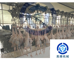 鸡屠宰流水线